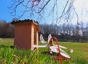 24 Santella della Madonna di Caravaggio in prato con Dens canis-Dente di cane